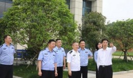 第四区在线观看,揭秘神秘区域的在线观看之旅